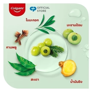 [มี 3 แพ็คให้เลือก] คอลเกต ยาสีฟัน สมุนไพร ดีท็อกซ์ เฮอร์เบิล ฟิวชั่น 120 กรัม Colgate Herbal Detox Herbal Fusion 120g