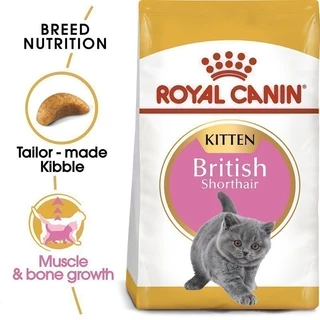 Royal Canin Kitten British Shorthair 2kg อาหารเม็ดลูกแมวพันธุ์บริติช ชอร์ทแฮร์ อายุ4-12เดือน (Dry Cat Food, โรยัล คานิน)
