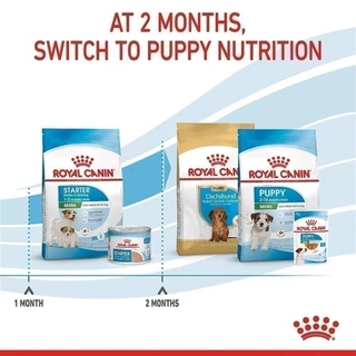 Royal Canin Mini Starter Mother & Baby Dog 1kg อาหารเม็ดแม่สุนัขและลูกสุนัขหย่านม พันธุ์เล็กอายุ 1-2 เดือน (โรยัล คานิน)