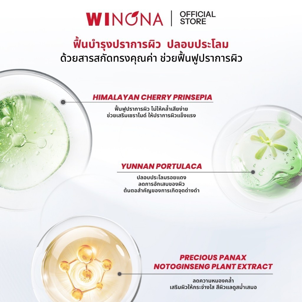 Winona Brightening & Spot - Fading วิโนน่า เอสเซนส์ลดเลือนจุดด่างดำ บูสผิวใส (1.5ml x 30 ขวด) — صورة 3