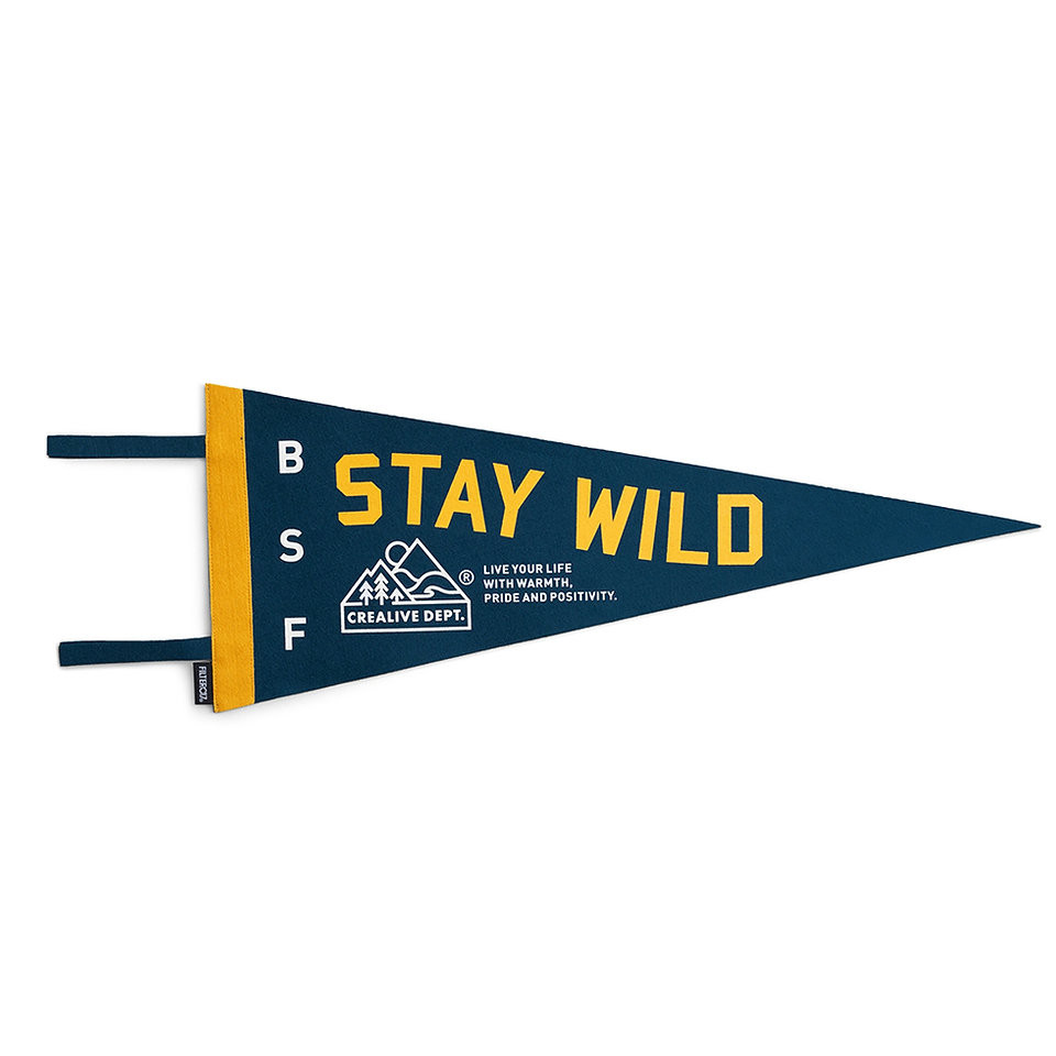 Filter017 Mountain Peak Logo STAY WILD