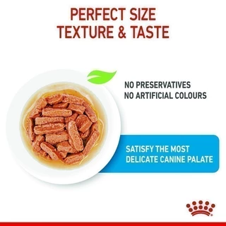 [10 ซอง] Royal Canin Medium Puppy Pouch Gravy อาหารเปียกลูกสุนัข พันธุ์กลาง อายุ 2-12 เดือน (ซอสเกรวี่, โรยัล คานิน)