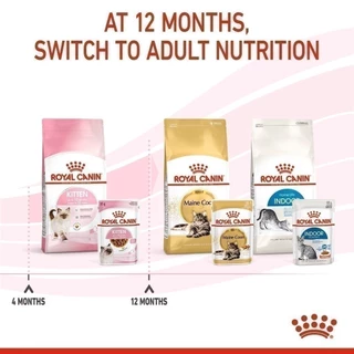 [ยกกล่อง 12 ซอง] Royal Canin Kitten Pouch Gravy อาหารเปียกลูกแมว อายุ 4-12 เดือน (ซอสเกรวี่, Wet Cat Food, โรยัล คานิน)