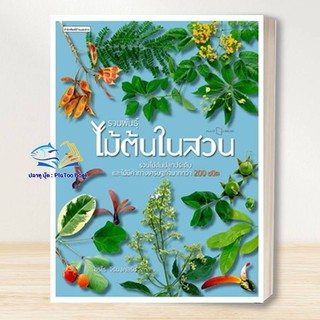 หนังสือ รวมพันธุ์ ไม้ต้นในสวน, ต้นไม้  ผู้เขียน: อุรไร จิรมงคลรัช  สำนักพิมพ์: บ้านและสวน BK01