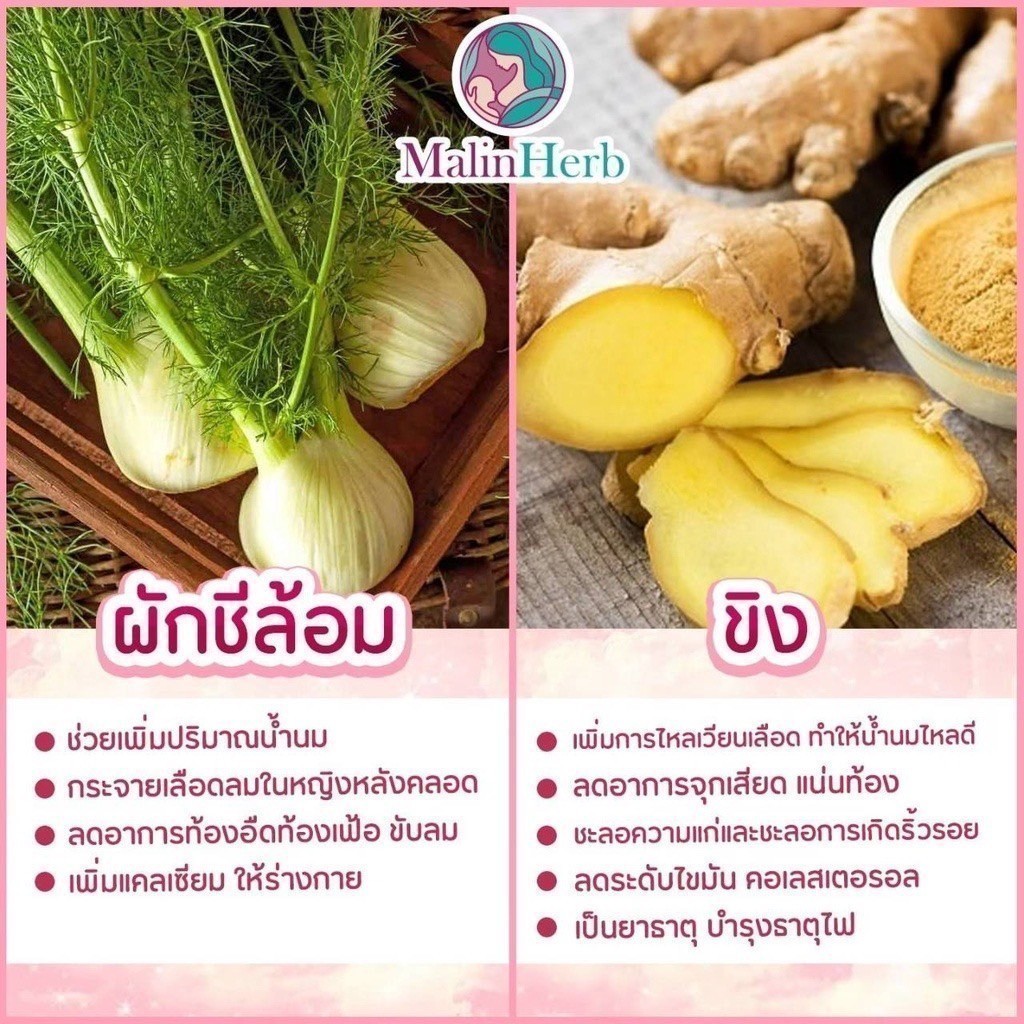 ชาเพิ่มน้ำนมแม่ อุ่นไอรัก ชาหัวปลีกระตุ้นน้ำนม ไม่มีคาเฟอีน ไม่มีน้ำตาล ธรรมชาติ 100% 1กล่องมี15 ซอง Malinherb - รูปที่ 6