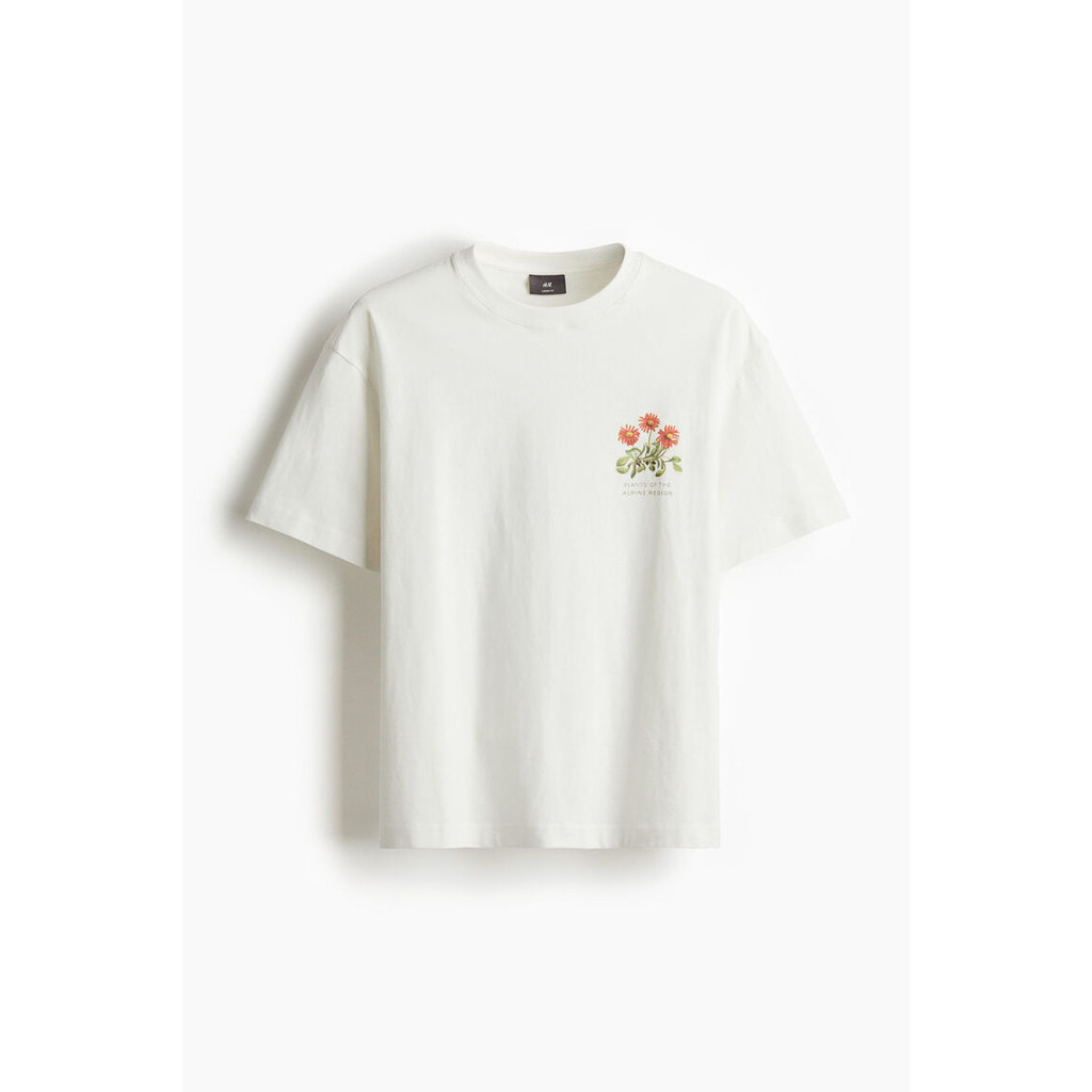 H&M Man Loose Fit Printed T-shirt 1034065_13