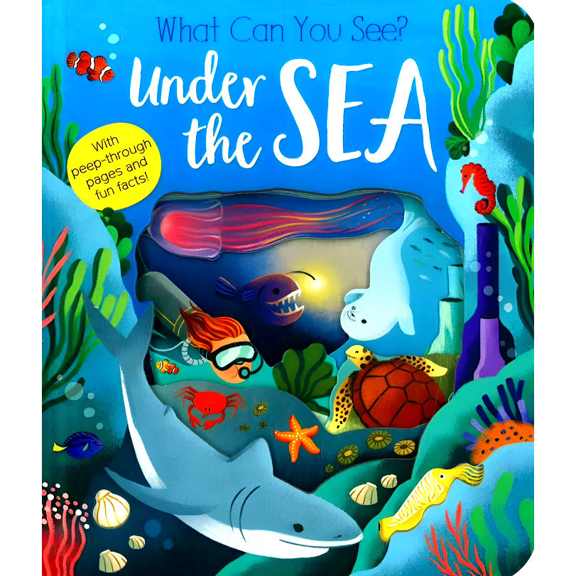 BBW หนังสือ What Can You See? Under The Sea ISBN: 9781801045551