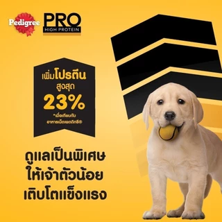 PEDIGREE เพดดิกรี โปร อาหารเม็ดลูกสุนัขสูตรโปรตีนสูง 8 กก.