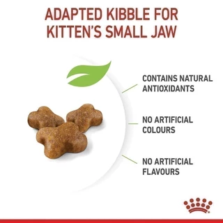 Royal Canin Kitten 4kg อาหารเม็ดลูกแมว อายุ 4-12 เดือน (Dry Cat Food, โรยัล คานิน)