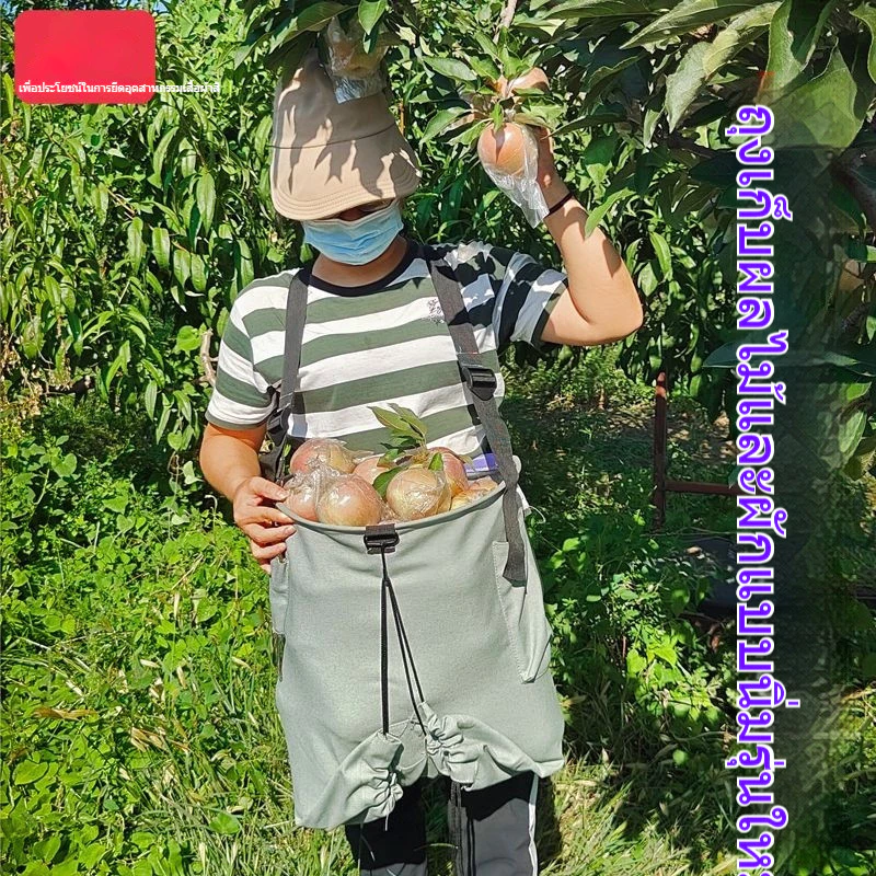 ถุงเก็บผลไม้ผ้าใบ อุปกรณ์เก็บส้มอเนกประสงค์ thumbnail 8