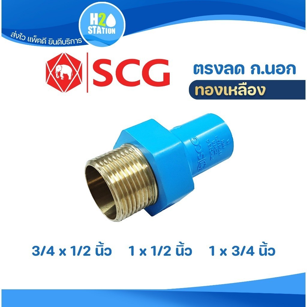 ตรงลดเกลียวนอกทองเหลือง ตราช้าง SCG ขนาด (3/4 นิ้ว x 1/2 นิ้ว) (1 นิ้ว x 1/2 นิ้ว) (1 นิ้ว x 3/4 นิ้ว) ทองเหลือง
