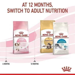 Royal Canin Kitten 4kg อาหารเม็ดลูกแมว อายุ 4-12 เดือน (Dry Cat Food, โรยัล คานิน)