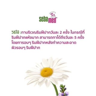 SEBAMED BABY LIP BALM (4.8G) ลิปมัน สำหรับเด็ก (4.8กรัม) เบบี้ ซีบาเมด ลิปบาล์ม