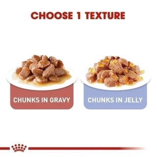 [เซตคู่สุดคุ้ม] Royal Canin Light Weight Care + Light Weight Care Gravy(12 ซอง) โรยัล คานิน อาหารแมวโต สูตรควบคุมน้ำหนัก