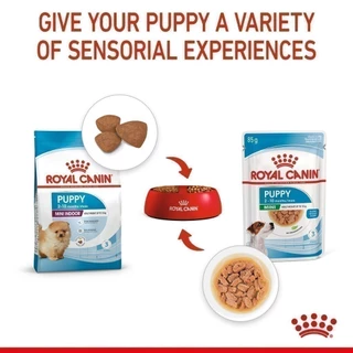 Royal Canin Mini Indoor Puppy อาหารเม็ดลูกสุนัข พันธุ์เล็ก เลี้ยงในบ้านอายุ 2-10 เดือน(3 กก.) + อาหารเปียก 85 ก.x 12 ซอง