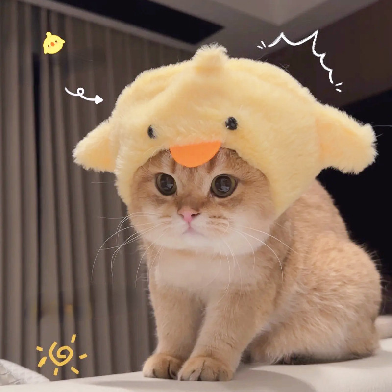 รูปภาพ 8