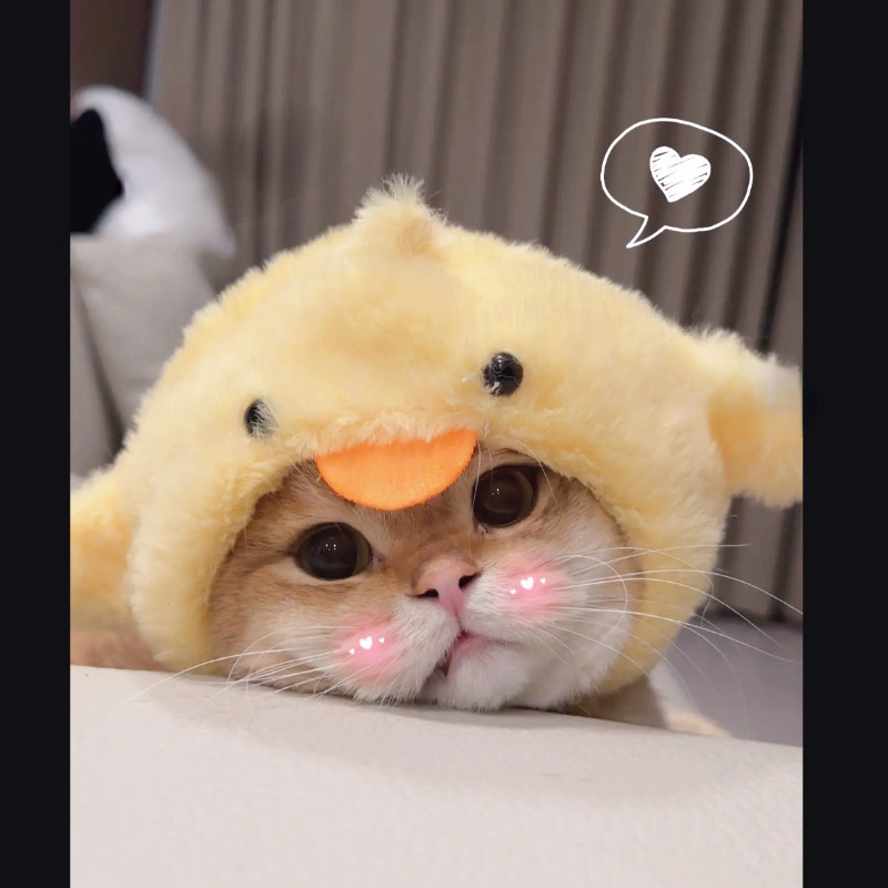 รูปภาพ 9