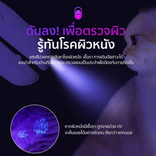 PETKIT LED Pet Nail Clipper Pro กรรไกรตัดเล็บมีไฟ LED รุ่น Pro