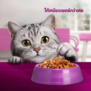 WHISKAS วิสกัส อาหารเม็ดแมวโต สูตรแมวเลี้ยงในบ้าน 1.1 กก.