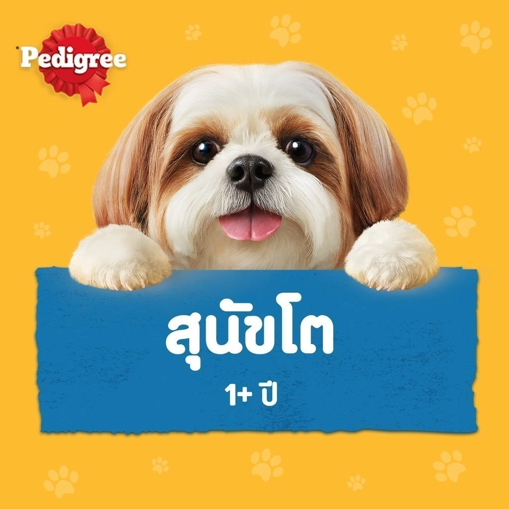 PEDIGREE อาหารสุนัขเปียกในน้ำเกรวี่ สุนัขโต/ลูกสุนัข thumbnail 8
