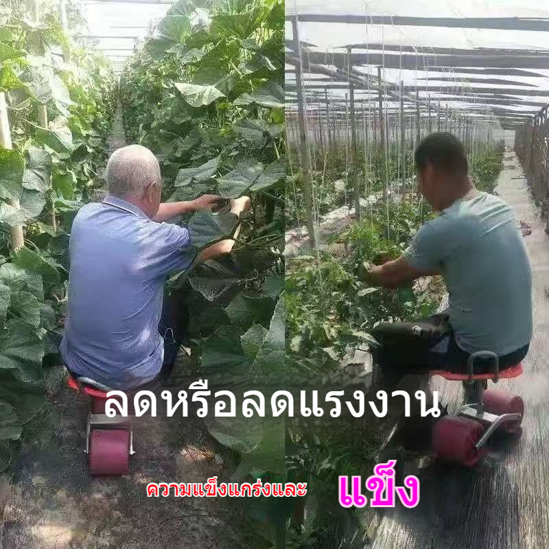 [ลดราคา] ✨รถเก็บผักในโรงเรือน เก้าอี้เก็บผักปรับระดับความสูงได้ เก้าอี้พักผ่อนสำหรับการเกษตร ไม่ปวดหลังขณะทำงาน - รูปที่ 5