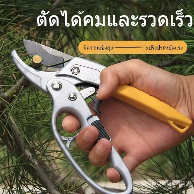 กรรไกรตัดกิ่งไม้ ขนาดใหญ่พิเศษ รุ่นนำเข้า ตัดกิ่งผลไม้ กิ่งไม้ใหญ่ กรรไกรตัดแต่งสวน กรรไกรตัดต้นไม้ แข็งแรง ทนทาน ใช้งาน
