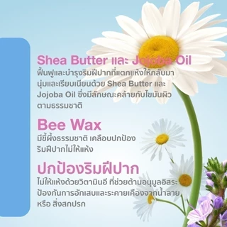 SEBAMED BABY LIP BALM (4.8G) ลิปมัน สำหรับเด็ก (4.8กรัม) เบบี้ ซีบาเมด ลิปบาล์ม