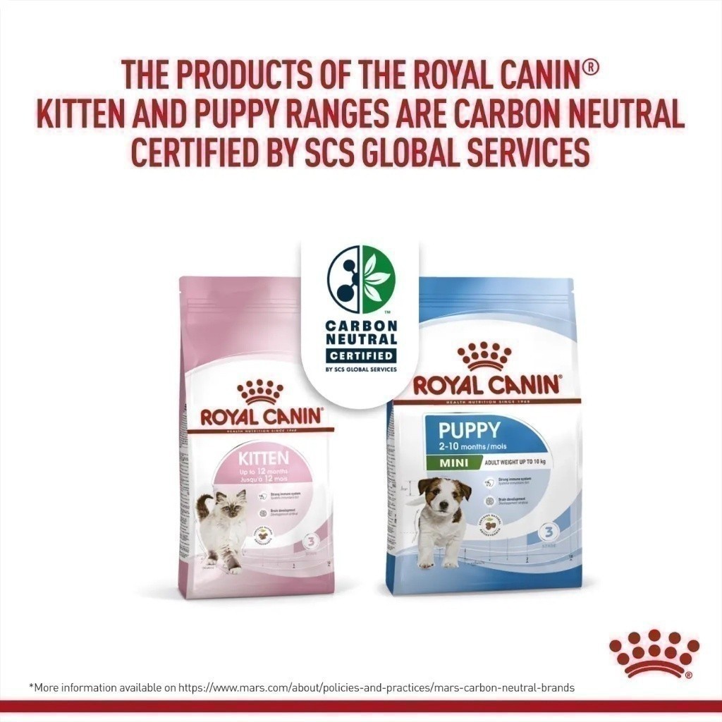 รูปภาพ 9