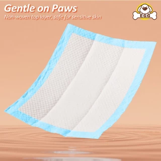 🐱 Pee Pad สำหรับสัตว์เลี้ยง 🐕， เหมาะสำหรับฝึกเข้าห้องน้ำ เนื้อดี ซึมเร็ว ซึมเร็ว เหมาะสำหรับสุนัขและแมว