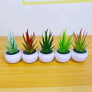 กระถางต้นไม้จําลอง ใบไม้สีเขียว บอนไซประดิษฐ์ พร้อมกระถาง แต่งบ้าน แต่งโต๊ะ แต่งห้องนอน มินิมอล