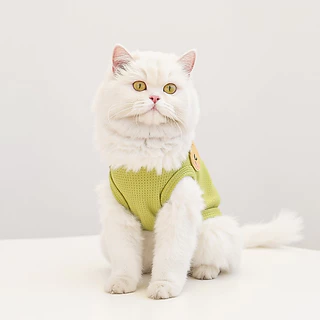 【Yuanzhss】เสื้อกั๊ก ลายหมีน่ารัก ใส่สบาย สําหรับสัตว์เลี้ยง สุนัข แมว