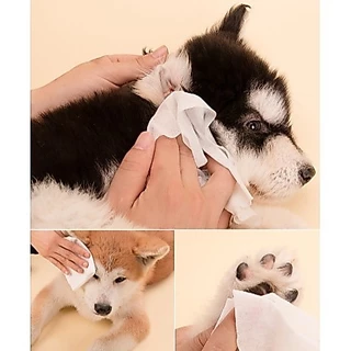 [พร้อมส่ง] ทิชชู่เปียก Pet wipes 80 แผ่น ผ้าเช็ดตาและหูสัตว์เลี้ยง สำหรับเช็ดสัต ว์เลี้ยง ทิชชู่เปียก ทิชชู่หมา