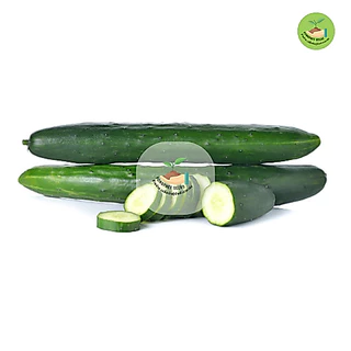 9บาท เมล็ดพันธุ์แตงกวาญี่ปุ่น 10เมล็ด