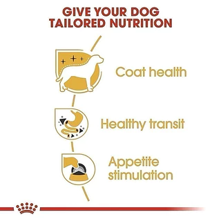 [1กล่อง12ซอง] ROYAL CANIN CHIHUAHUA Adult อาหารเปียก สุนัขพันธุ์ ชิวาว่า โต 85g*12ซอง