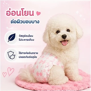 Qti ผ้าอ้อมสุนัข แบบใช้แล้วทิ้ง ชายและหญิง ชุดอุปกรณ์สำหรับสัตว์เลี้ยง ราคาต่อ