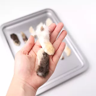 Rabbit Feet ขากระต่ายอบแห้ง ขนมเคี้ยวเล่นสุนัข 100% Natural ( ขาหลัง 3 + ขาหน้า 4 )
