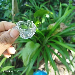 อ่างอาบน้ำและถ้วยใส่อาหาร นกชมพู่สวน นกกินปลี