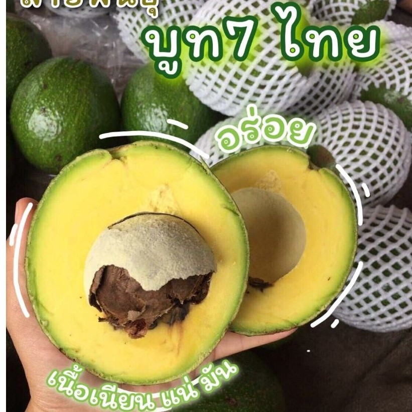 🔰โปรเฉพาะวันนี้ บูท7 3กก. 109 บาท [น้ำหนักชั่งรวมกล่อง] รสชาติเหนียวมันเนยหนึบ เนื้อแน่ ติดหวานปลายลิ้น *ลูกติดลาย*