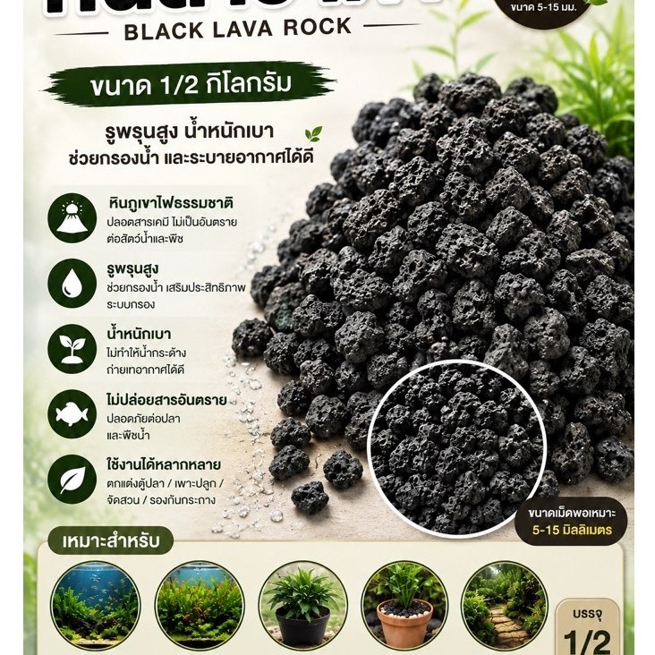 หินลาวาดำ Black Lava Rock ไซส์ M 5-15 มม. ขนาด 1/2 กิโลกรัม วัสดุกรองตู้ปลา วัสดุปลูกต้นไม้ ล้างแล้วพร้อมใช้งาน