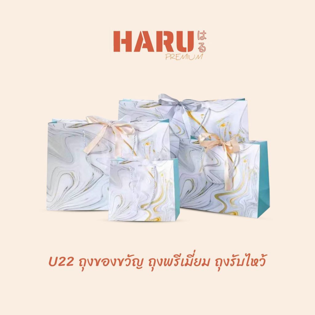 ถุงของขวัญ ถุงกระดาษ งานแต่ง วันเกิด โทนสีฟ้า ลายหินอ่อน U22