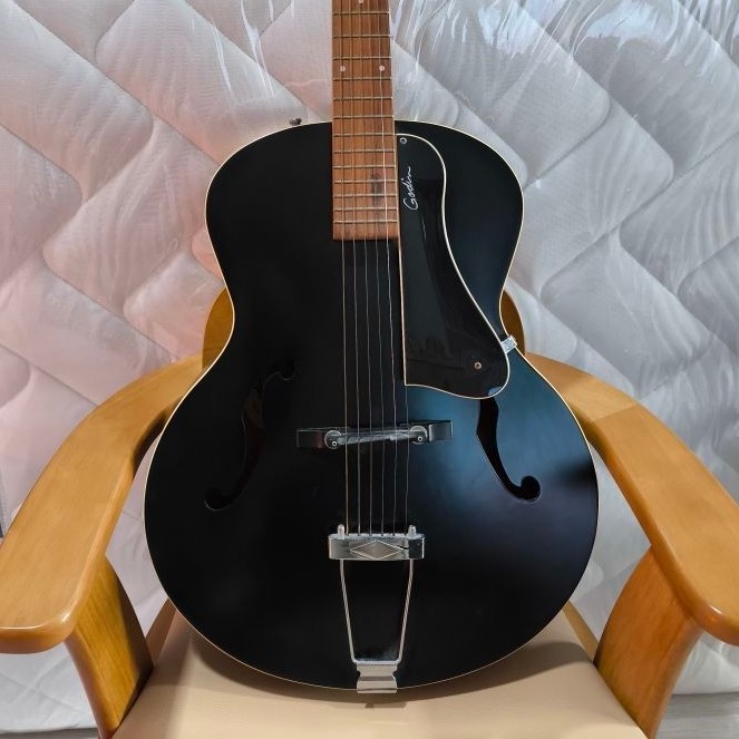 กีตาร์HollowBody Godin5th Avenue