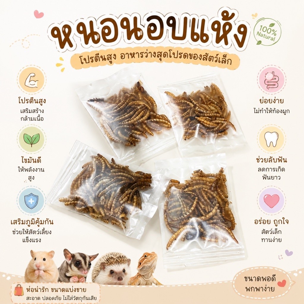 หนอนอบแห้ง เหมาะสำหรับ ชูก้าร์ แฮมเตอร์ เม่น และสัตว์ฟันแทะ 10 กรัม