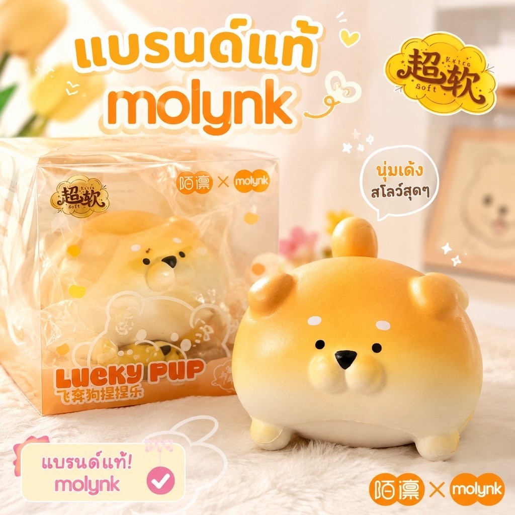 สกุชชีหมาอึ่งแบรนด์แท้molynk