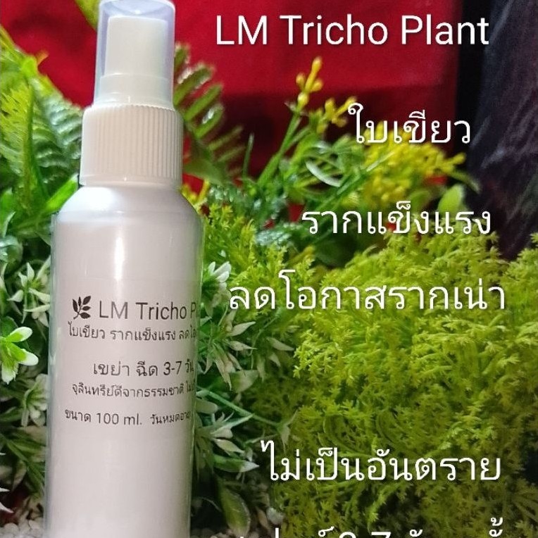 🌿 LM Tricho Plant 🌿 บำรุงใบเขียว รากแข็งแรง ลดโอกาสรากเน่า ไตโคร ไม่เป็นอันตราย