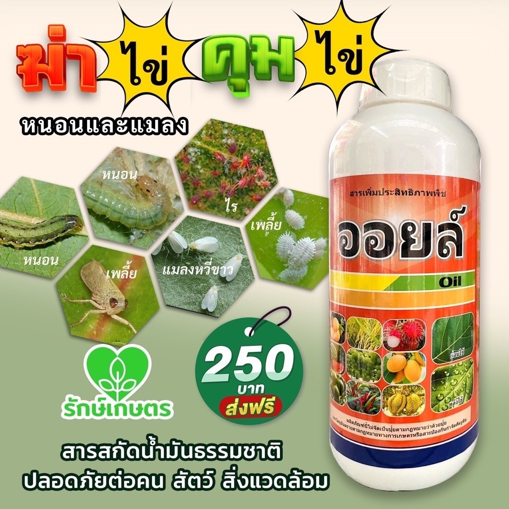 ออยล์ สูตรเย็น USP GRADE มาตรฐานอเมริกา