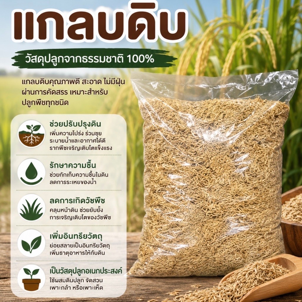 แกลบดิบ  แกลบใหม่สะอาด วัสดุปลูก เพิ่มความโปร่งในดิน ช่วยระบายน้ำ ผสมดินปลูกต้นไม้