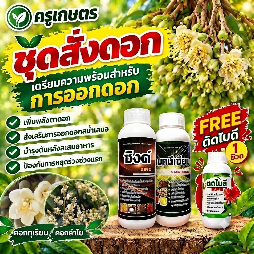 ชุดสั่งดอก(แมกนีเซียม ขนาด1 ลิตร 1 ขวด ซิงค์ขนาด1 ลิตร 1 ขวดจับใบ 250 cc 1 ขวด)ช่วยสร้างแป้งน้ำตาลและสร้างออกซิน