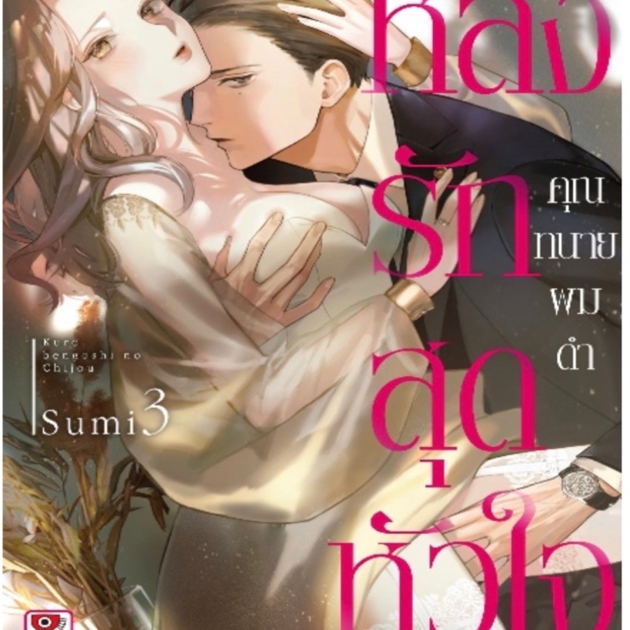 หลงรักสุดหัวใจคุณทนายผมดำ เล่ม 1-3