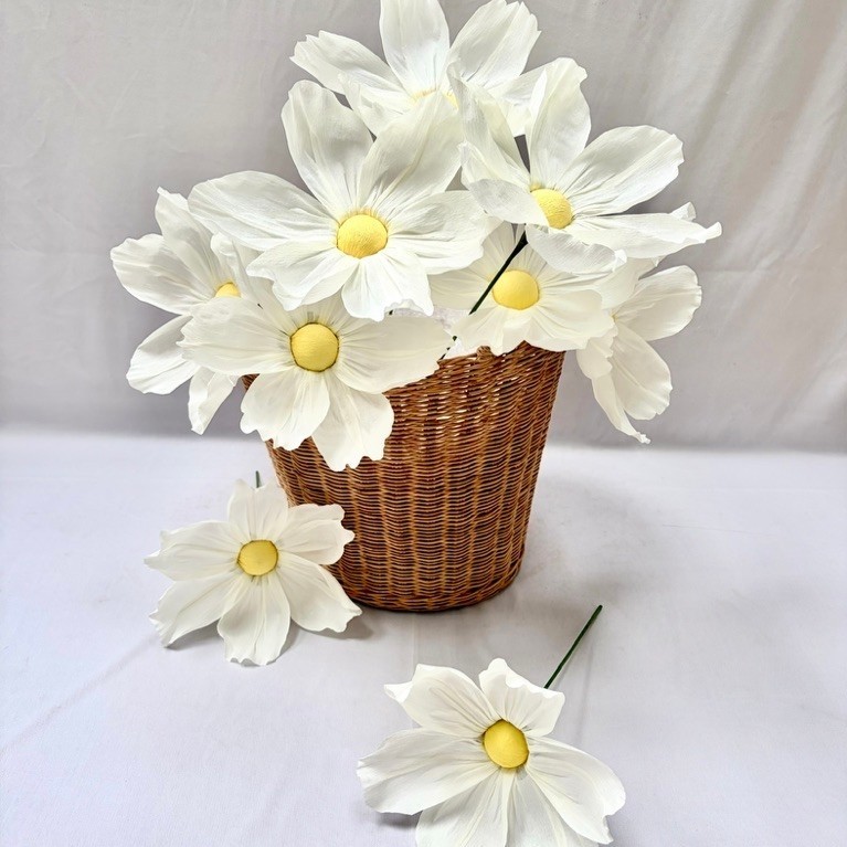 ดอก cosmos paper flower ดอกดาวกระจายกระดาษยักษ์