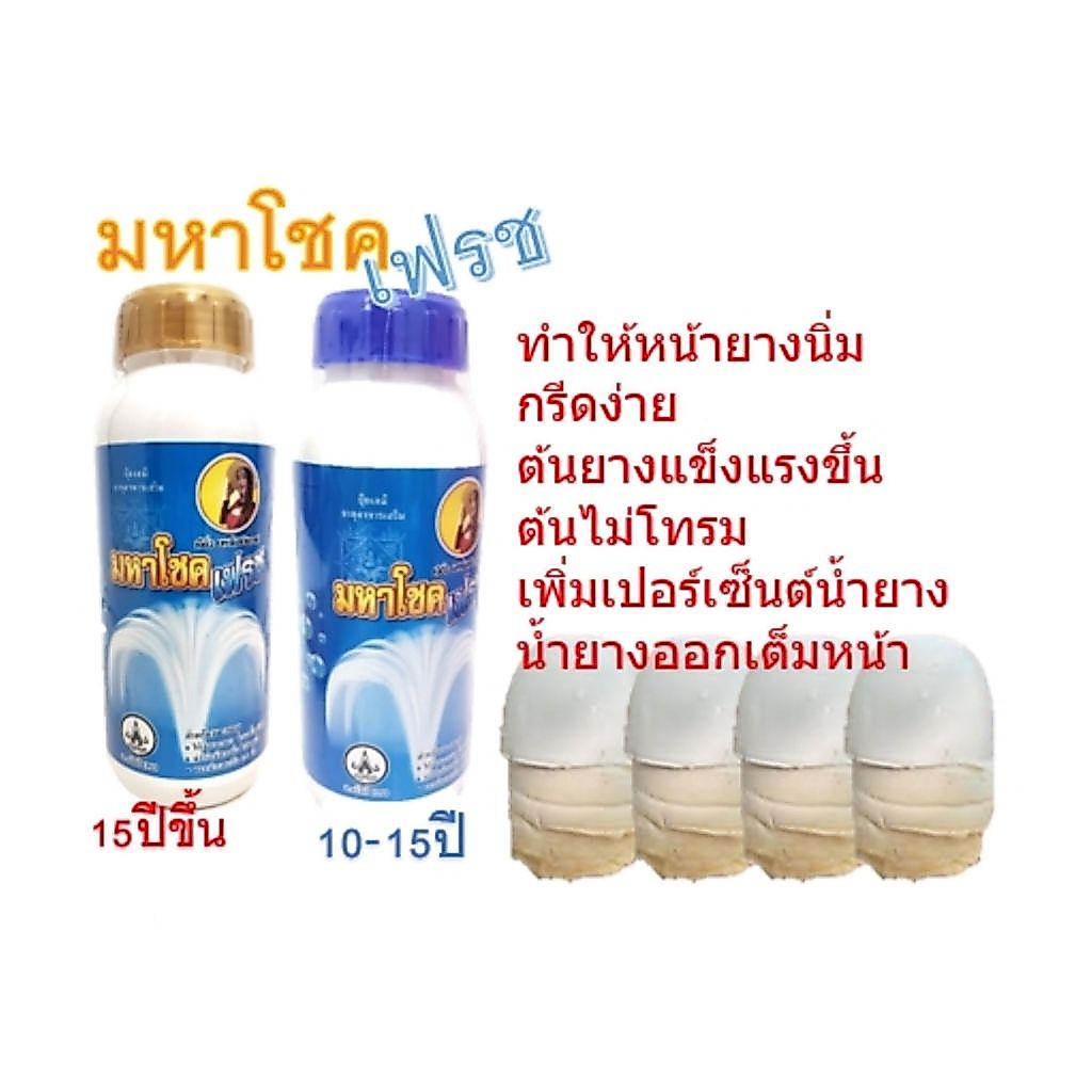 มหาโชคเฟรช 500cc ยาทาหน้ายางพารา ยาทาหน้ายาง บำรุงหน้ายาง ดูแลรอยกรีด หน้ายางนิ่ม กรีดง่าย แถมเสื้อ เพิ่มน้ำยางพารา รักษ
